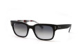 Сонцезахисні окуляри Ray Ban 2190 13183A 55